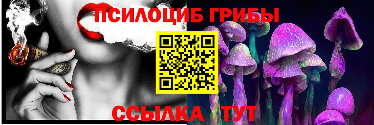 Галлюциногенные грибы мицелий  купить  цена  Псилоцибиновые грибы Cubensis  Азов  Вход с VPN 